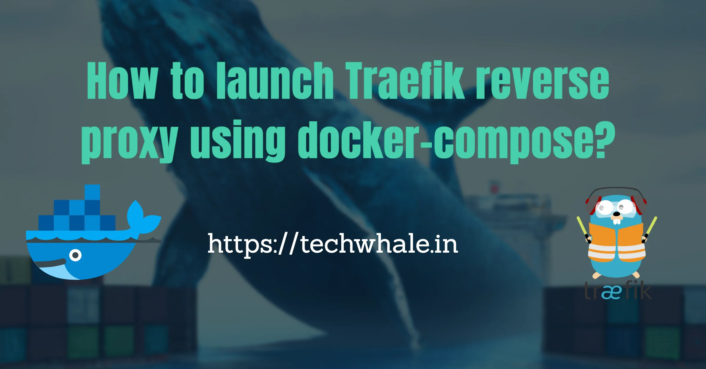 How to launch Traefik reverse proxy using docker-compose?