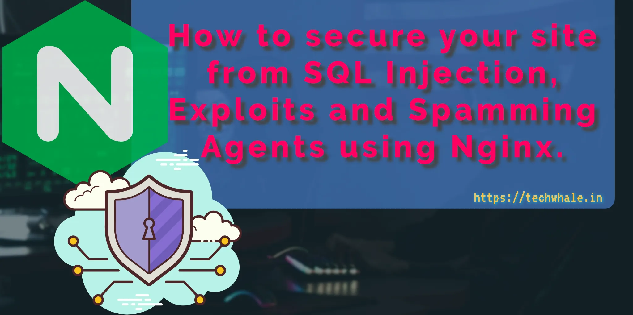 How to secure your site from SQL Injection, Exploits and Spamming Agents using Nginx.